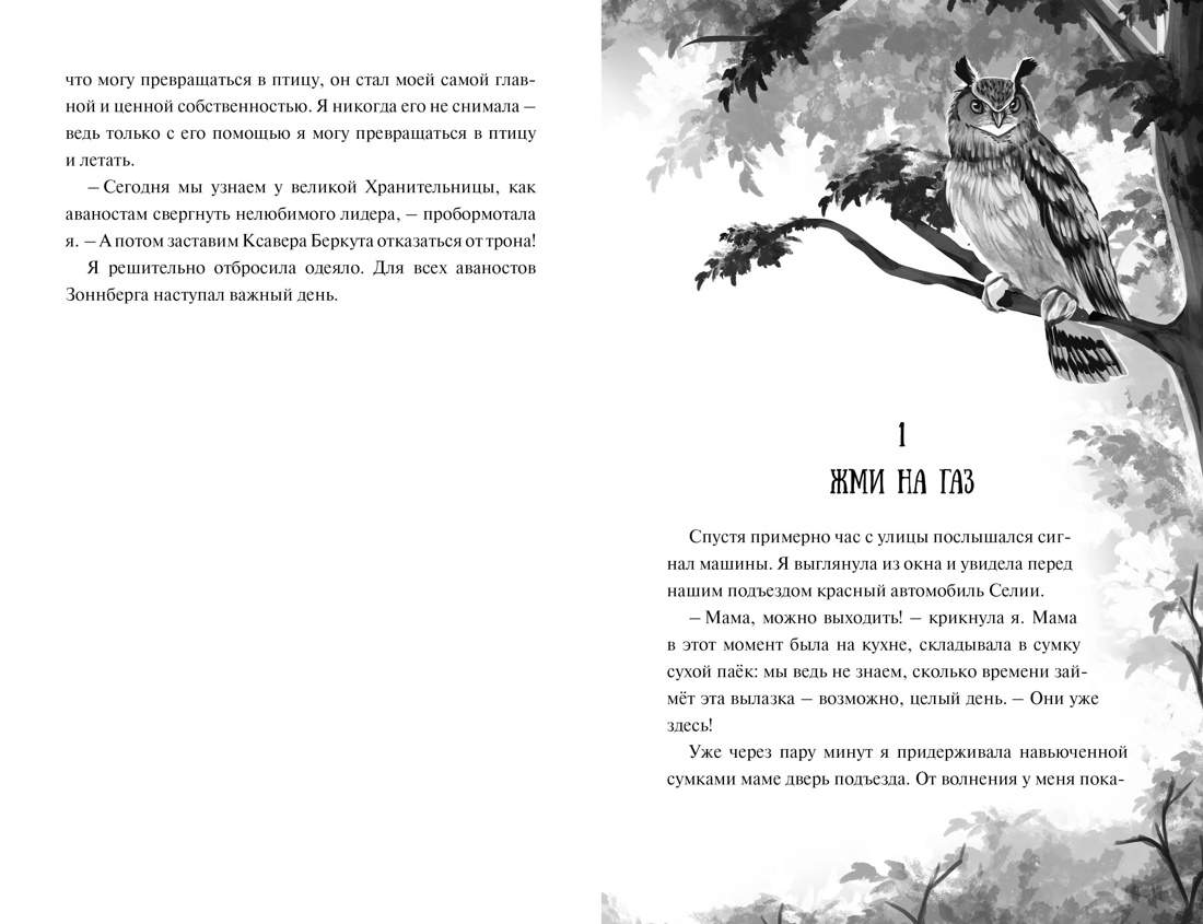 Зачарованные крылья, Отрывок из книги