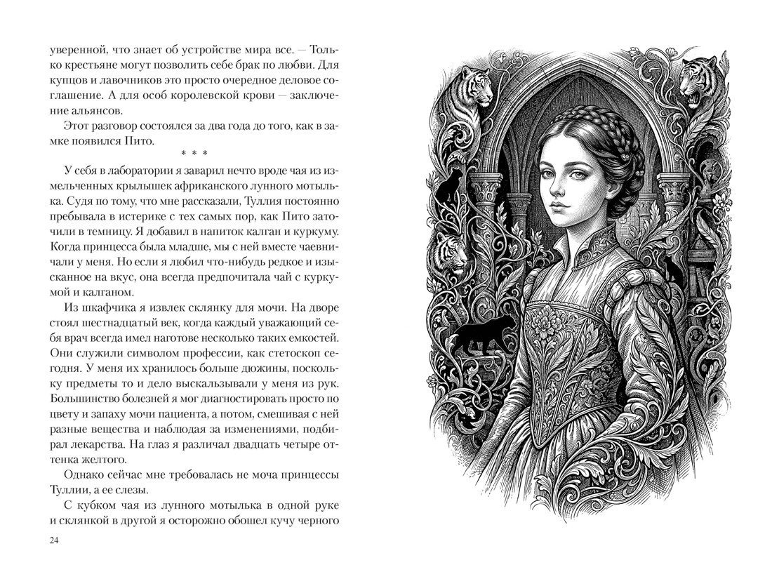 Маг Тигриного замка (с илл.), Отрывок из книги