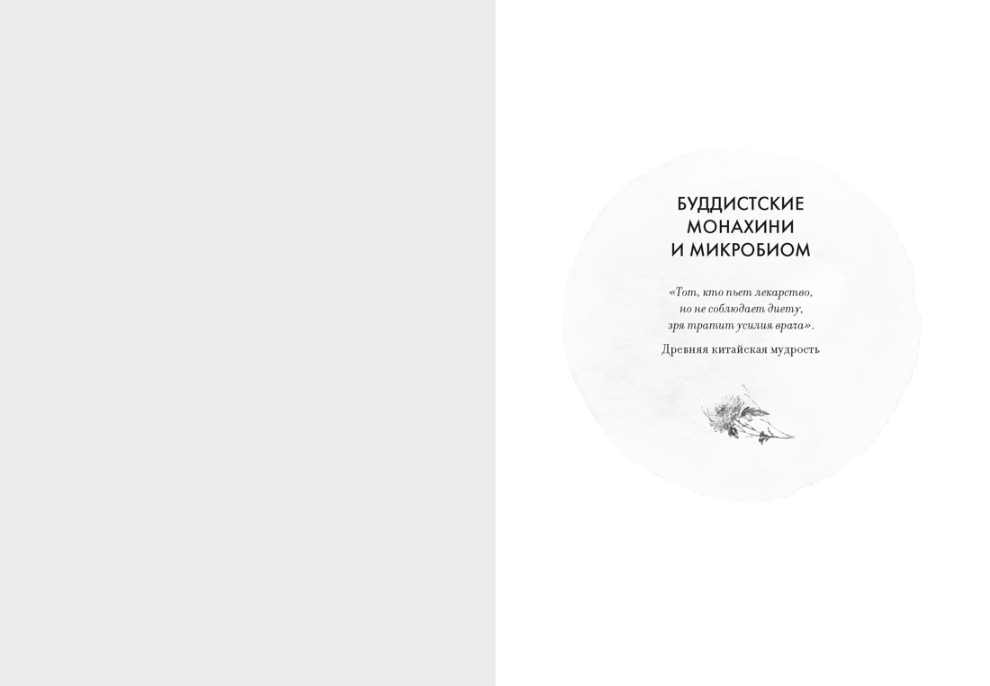 Ссукгат: Корейские секреты благополучия и осознанной жизни, Отрывок из книги