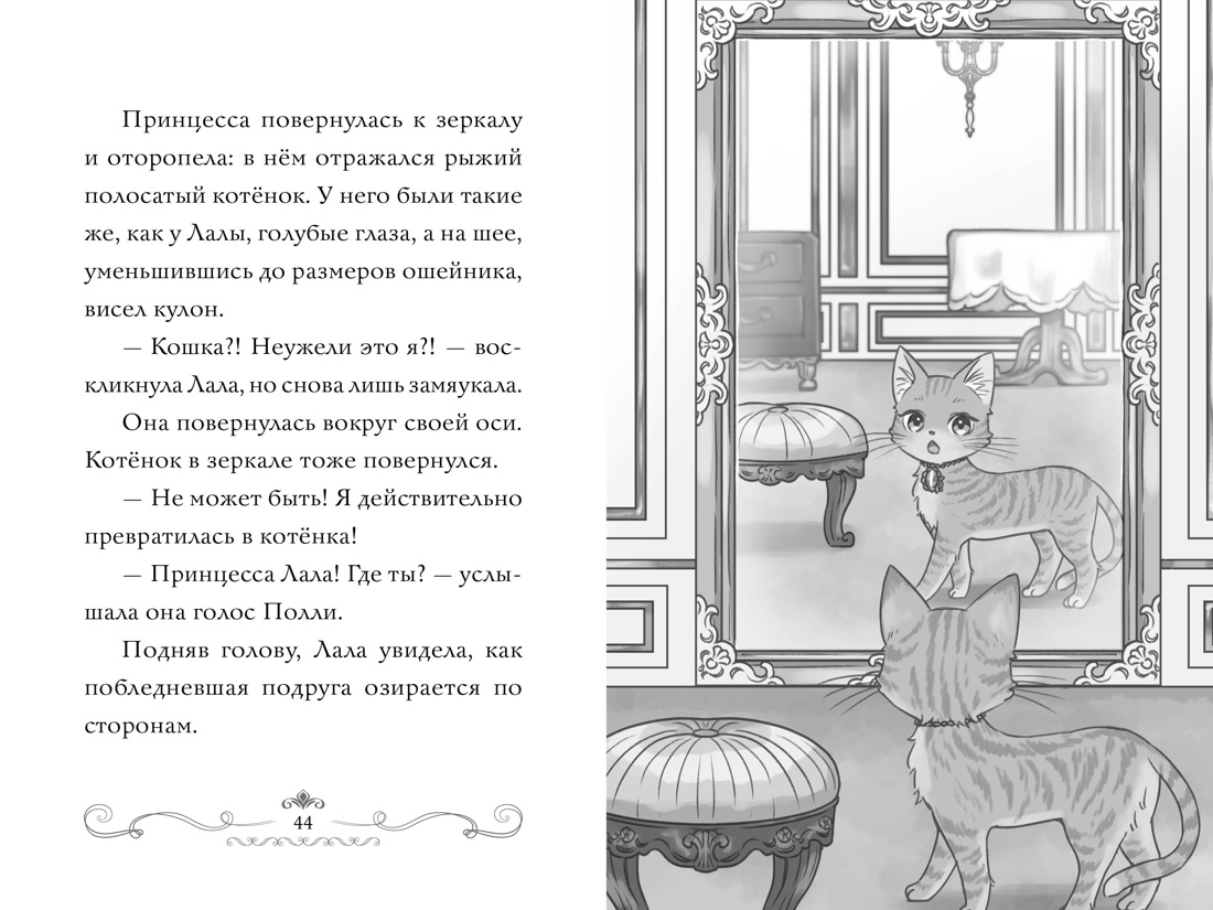 Апельсиновая кошка, Отрывок из книги
