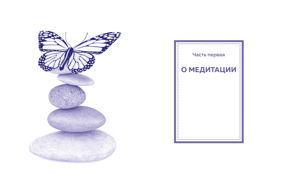 Медитация, Отрывок из книги