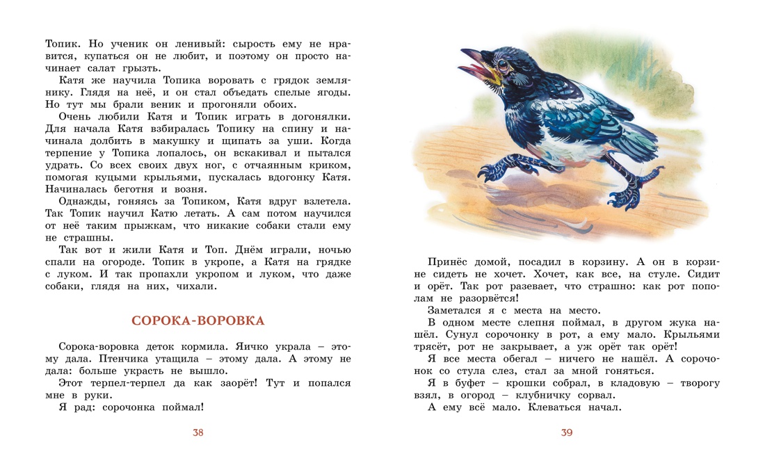 Лесные тайнички (Библиотека детской классики), Отрывок из книги