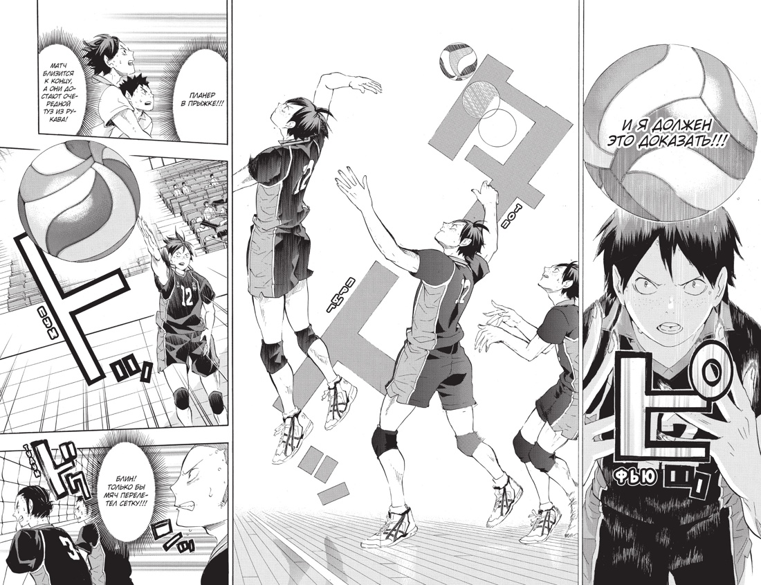 Волейбол! Книга 4. Эволюция. Больше не одинокий Король, Отрывок из книги