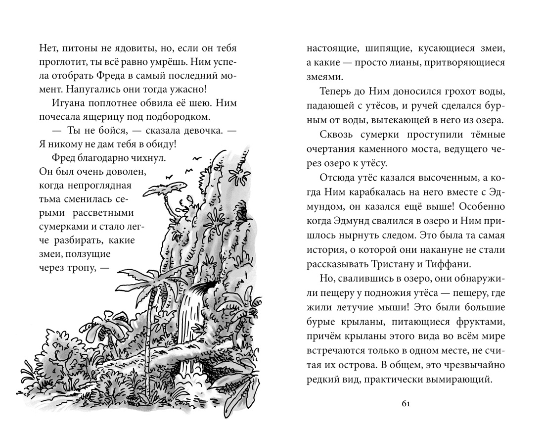 Купить книгу «Возвращение на остров Ним», Венди Орр | Издательство  «Азбука», ISBN: 978-5-389-14480-4