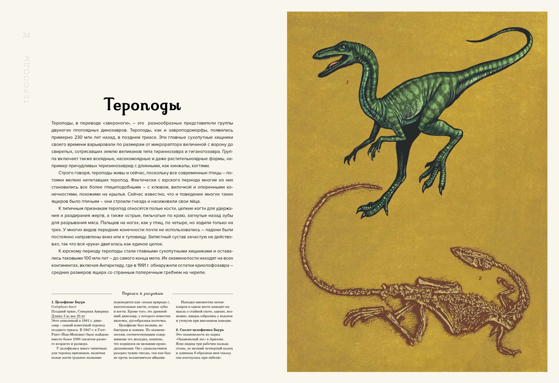 Динозавриум, Отрывок из книги
