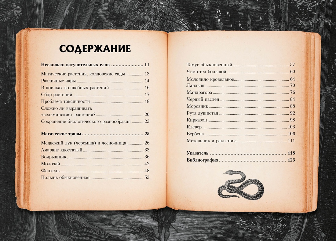 Маленький гримуар ведьмы. Зелья и волшебные травы, Отрывок из книги