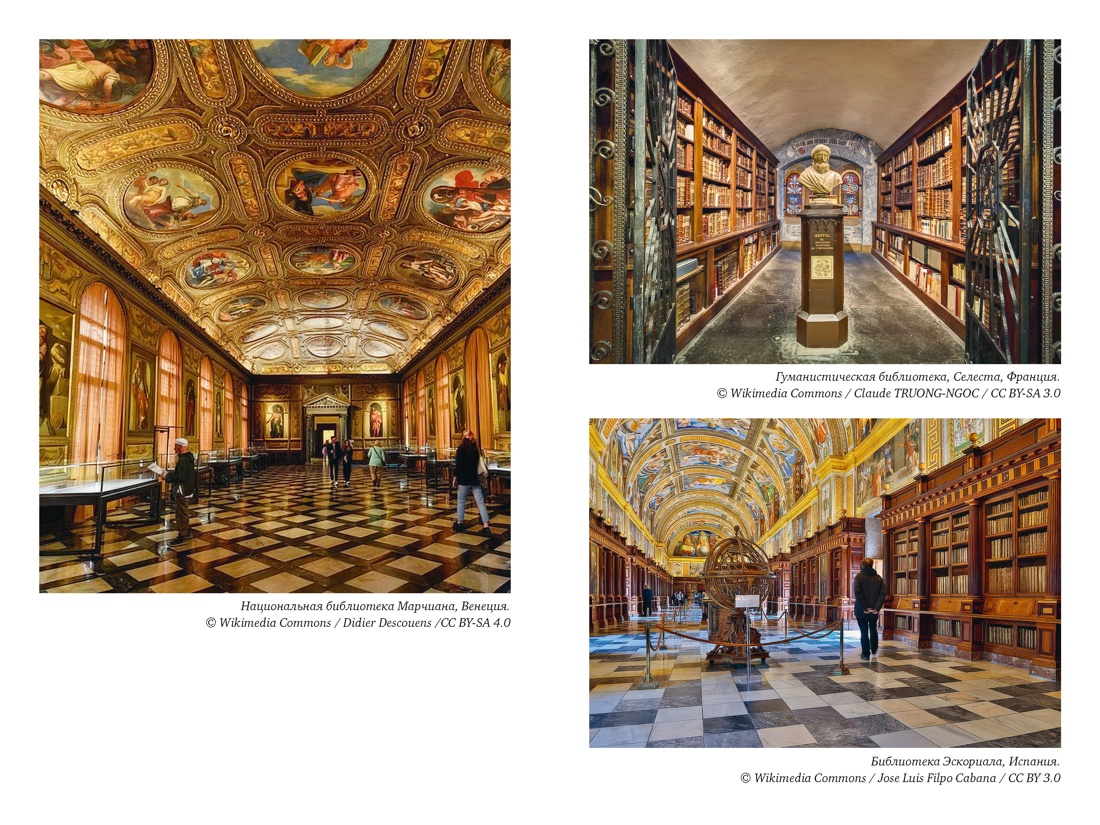 История библиотек: Коллекционеры. Тексты. Здания, Отрывок из книги