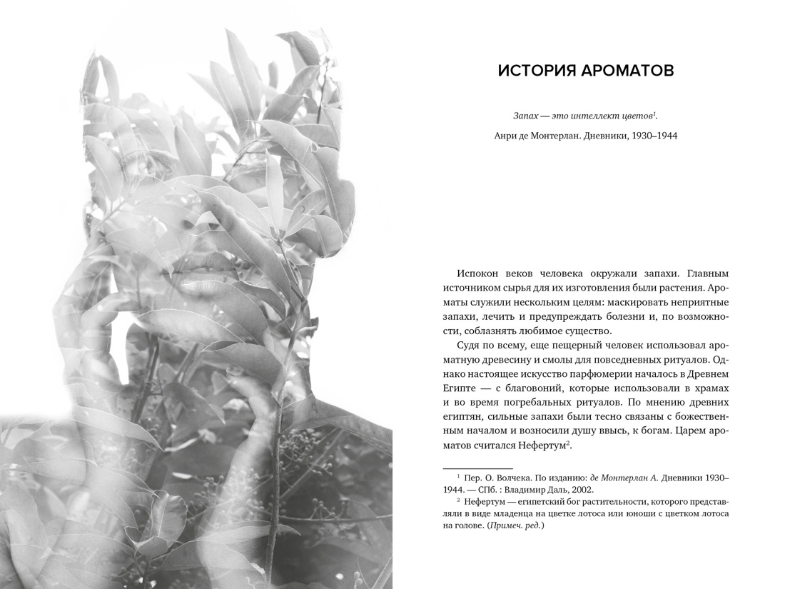 Мода, власть и гламур. Сборный комплект из 2-х книг с шоппером, Отрывок из книги