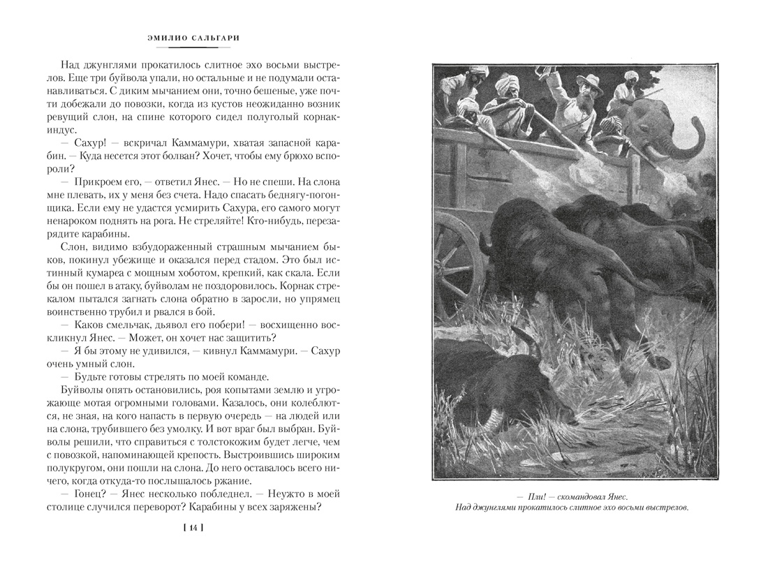 Сандокан. Коварный брамин из Ассама. Гибель империи. Реванш Янеса, Отрывок из книги