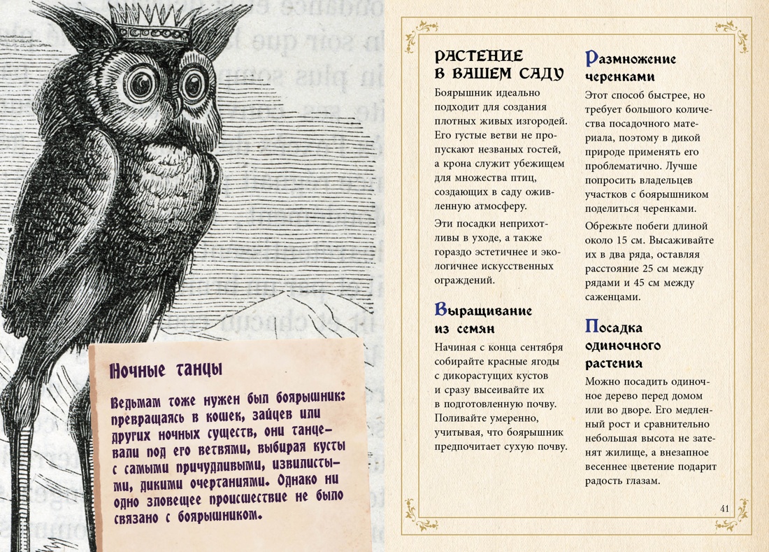 Маленький гримуар ведьмы. Зелья и волшебные травы, Отрывок из книги
