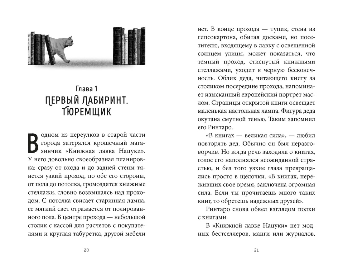 Кот, который любил книги, Отрывок из книги