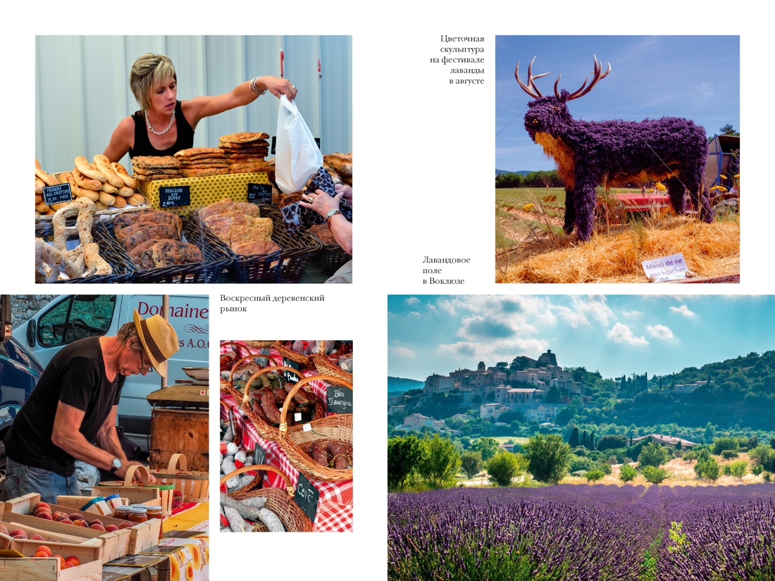 «Год в Провансе» и другие книги, Отрывок из книги