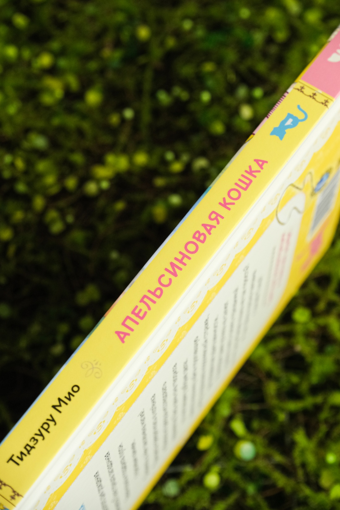 Апельсиновая кошка, Отрывок из книги