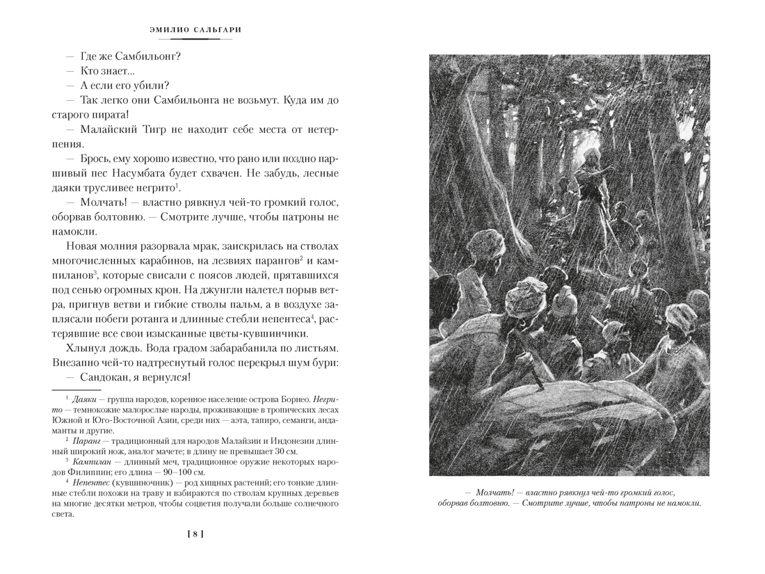 Сандокан. Возмездие Сандокана. Возвращение Момпрачема, Отрывок из книги