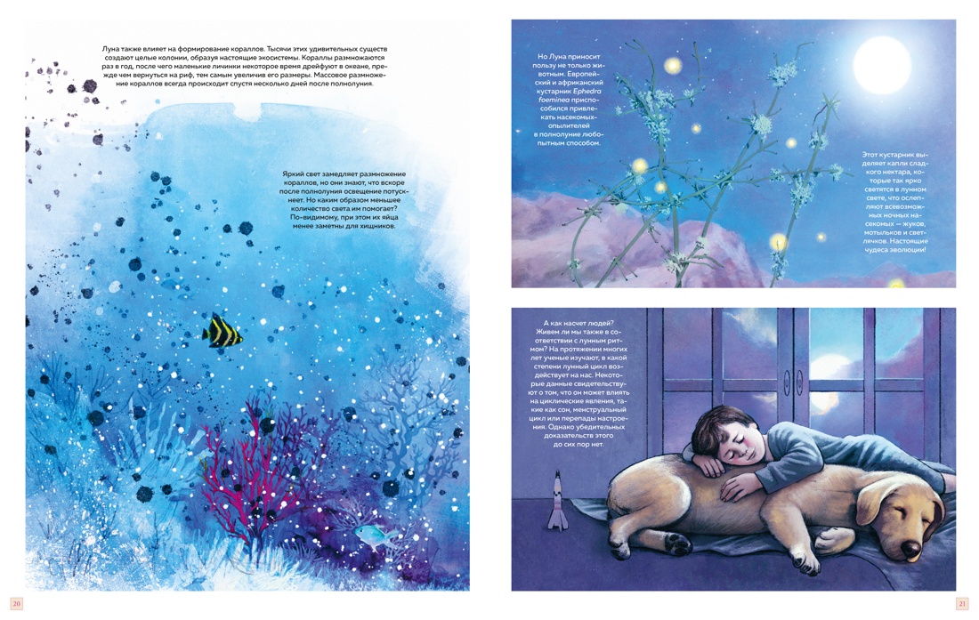 Удивительная Луна. Истории и загадки спутника Земли, Отрывок из книги