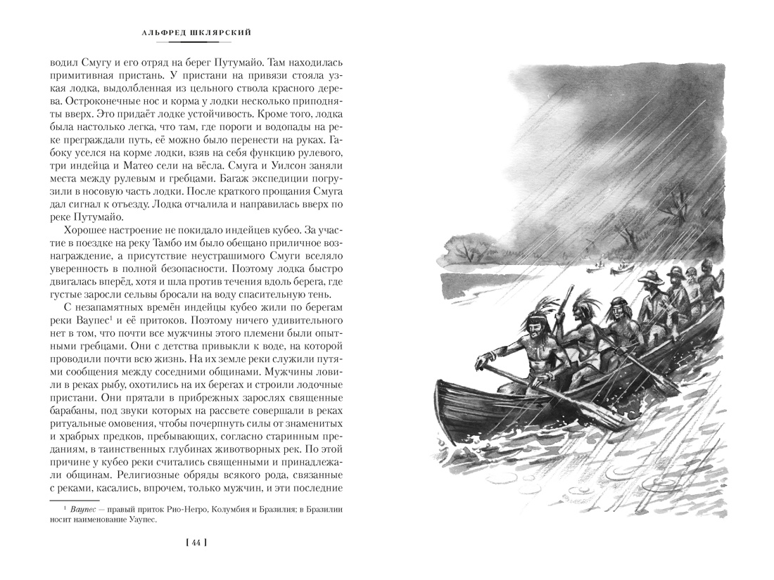 «Томек у истоков Амазонки» и другие удивительные приключения, Отрывок из книги