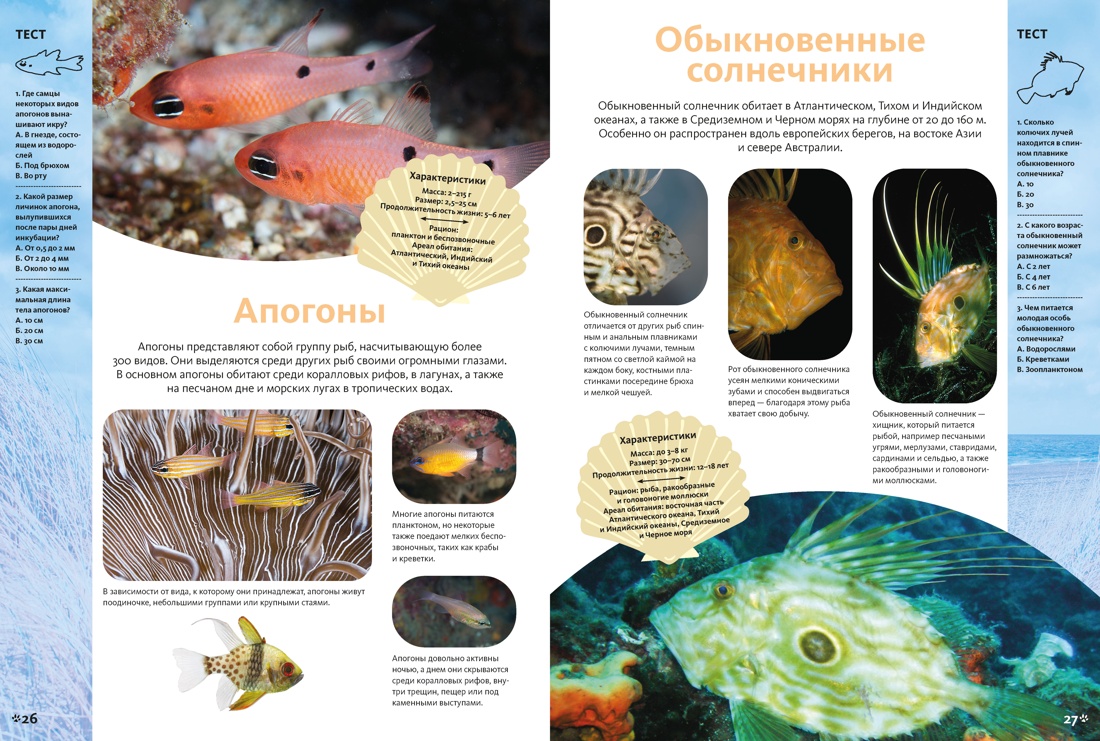 Животные морей и океанов. Большая школьная энциклопедия, Отрывок из книги