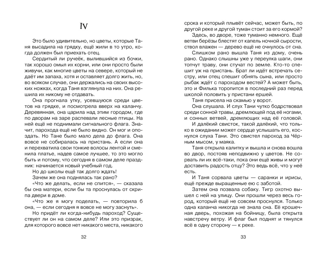 Дикая собака динго, или Повесть о первой любви, Отрывок из книги