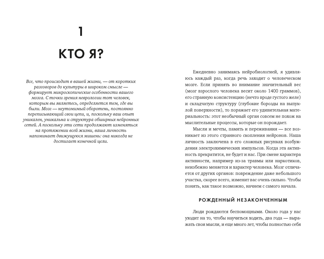 Мозг: Ваша личная история, Отрывок из книги