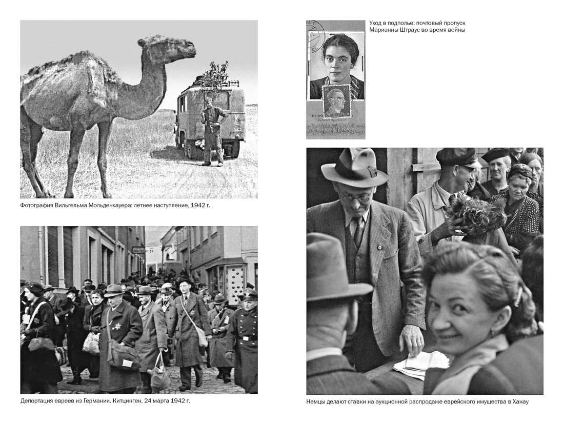 Мобилизованная нация: Германия 1939–1945, Отрывок из книги