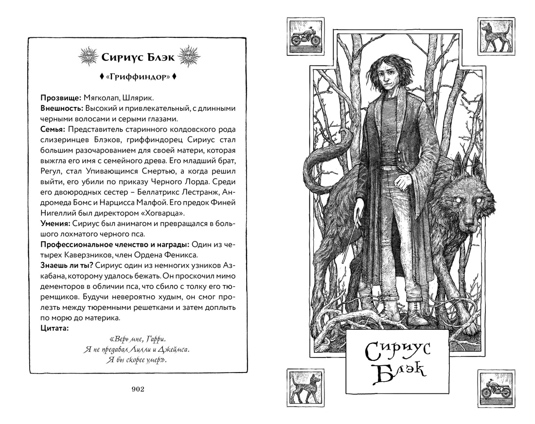 Гарри Поттер и Орден Феникса (Гриффиндор), Отрывок из книги