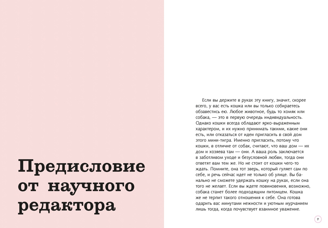 Гладить! Кормить! Любить! Замурчательное пособие по счастливой жизни с кошкой, Отрывок из книги