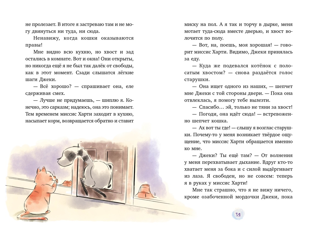 Маффин. Мой друг енот, Отрывок из книги