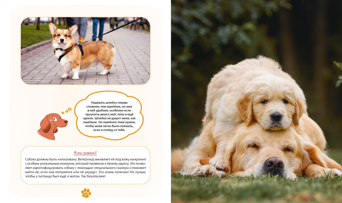 Я и моя собака. Как понять питомца и стать ему другом, Отрывок из книги