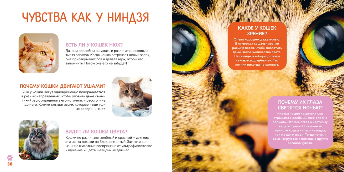 Моя первая книга о животных. 200 фотографий, Отрывок из книги