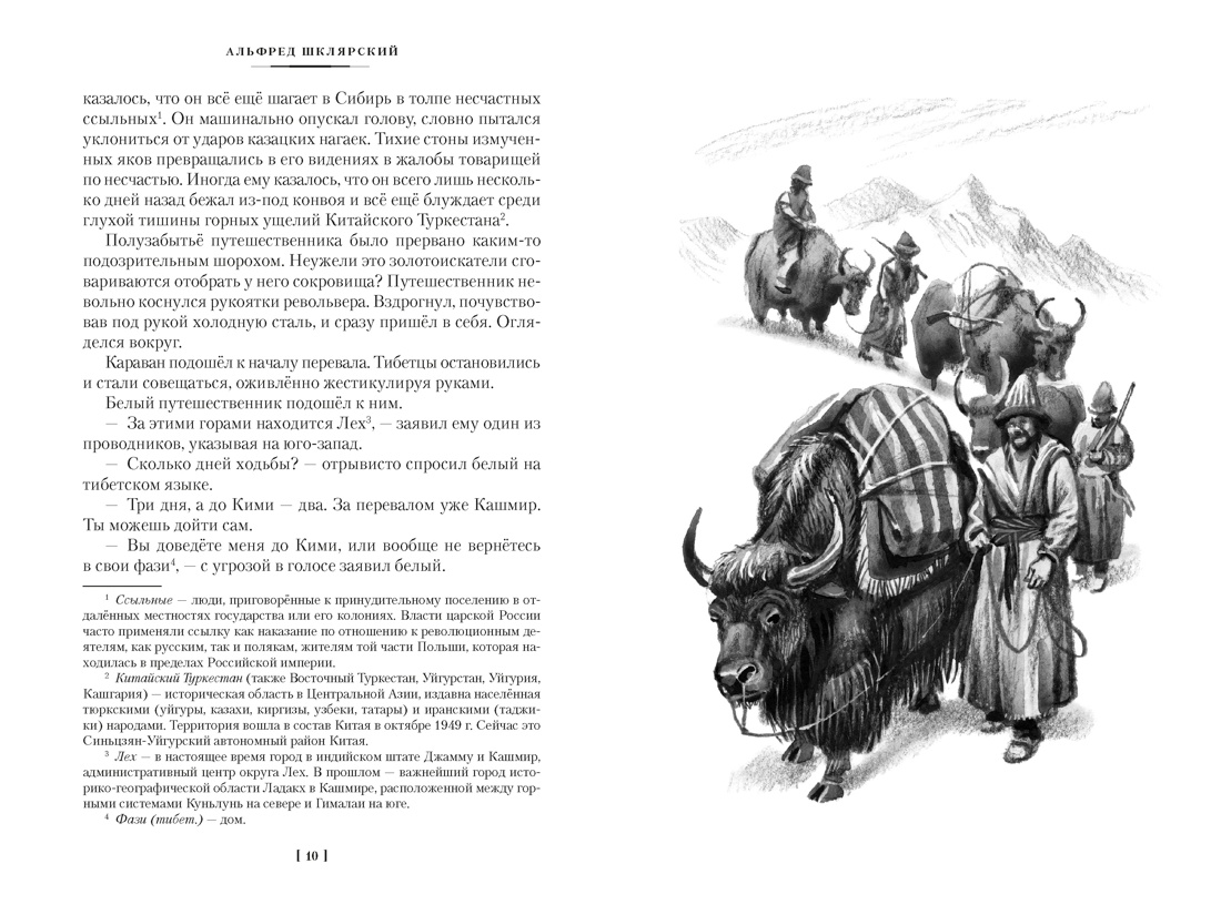 «Томек ищет снежного человека» и другие удивительные приключения, Отрывок из книги