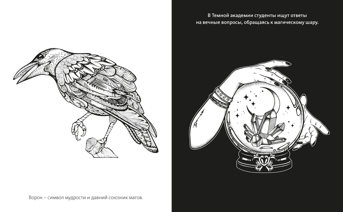 Темная академия, Отрывок из книги
