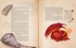 Тайны волшебных палочек. Секреты мастера, Отрывок из книги