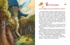 Комплект "Волшебник Изумрудного города. Все приключения в 6 книгах", Отрывок из книги