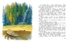 Стрижонок Скрип, Отрывок из книги