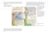 Далекие горы и воспоминания, Отрывок из книги