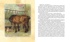 Чёрный Красавчик, Отрывок из книги