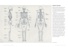 Основы анатомии человека. Наглядное руководство для художников, Отрывок из книги