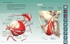 Анатомия человека 360°. Иллюстрированный атлас, Отрывок из книги