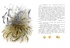 Самая новогодняя книга (илл. Н. Устинова), Отрывок из книги