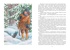 Сибирочка, Отрывок из книги