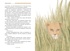 Ванини - королева львов. Комплект из 4-х книг, Отрывок из книги