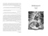Нейромант. Трилогия «Киберпространство», Отрывок из книги