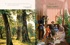 Книга о самых близких. Родословная летопись, Отрывок из книги