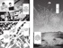 One-Punch Man. Книга 16. Чистилищная феноменальная пушка. Благословение, Отрывок из книги