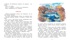 Лесные тайнички (Библиотека детской классики), Отрывок из книги