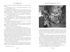 Приключения бригадира Жерара, Отрывок из книги