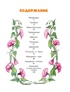 Первая книга сказок (илл. Якшис), Корней Чуковский