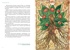 Магия трав и волшебный бестиарий. Сборный комплект из 2-х книг с шоппером, Отрывок из книги