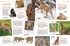 Мир животных: От актинии до ягуара, Отрывок из книги