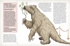 Музей доисторических животных. Единороги, мамонты, динозавры и другие экспонаты, Отрывок из книги